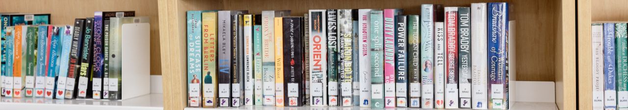 Shelf of library books