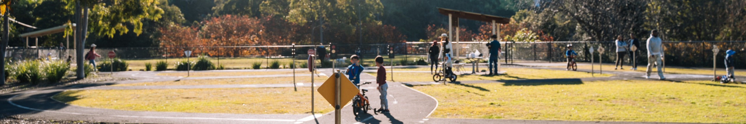 Children riding scooters in Ryde Park